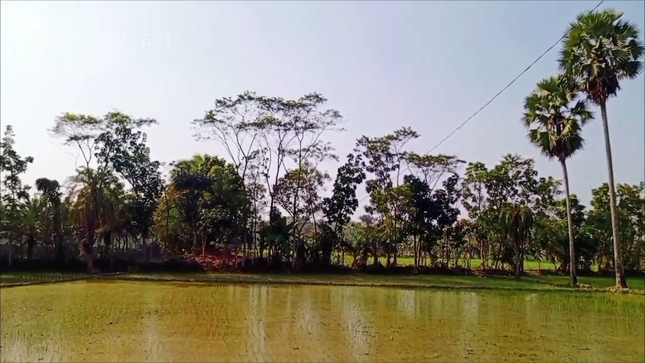 মন খারাপের মাঝে প্রকৃতিতে প্রকৃত সুখ পাওয়া যায়। 