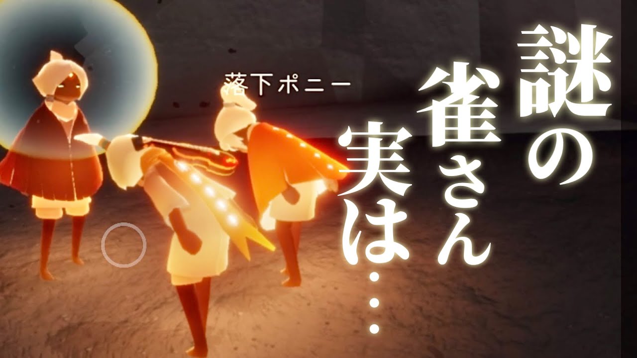 【壮絶回！】きっと誰も結末を予想できない！暴風域で大惨事をともに乗り越えようとする雀さんが色々謎すぎたw w w w w w【Sky星を紡ぐ子どもたち】