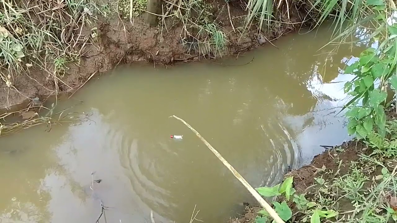 Fishing Vedio Swerte Maraming Holi na Esda 