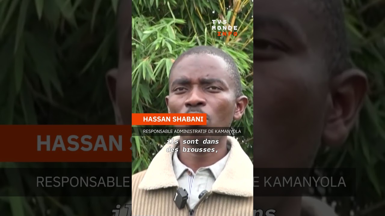 🇨🇩 RD Congo/🇷🇼 Rwanda : les combats continuent malgr&eacute; l'accord de paix