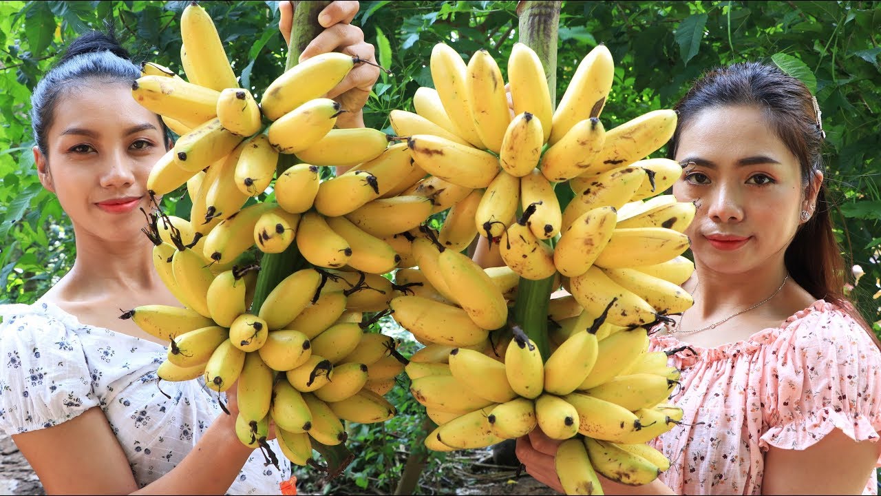 Yummy cooking banana dessert recipe - Natural life TV