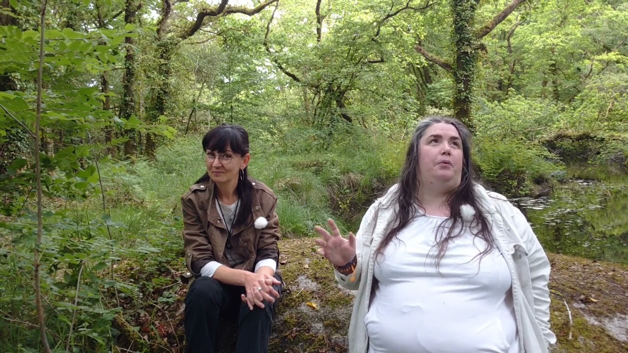 033 Pratique : Communiquer avec un Dragon