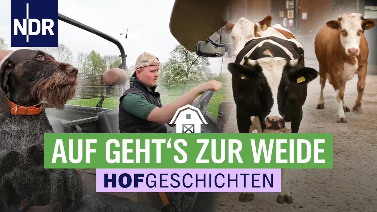 Die Kühe auf die Wiese - die Arbeit beginnt | Hofgeschichten: Leben auf dem Land (277) | NDR