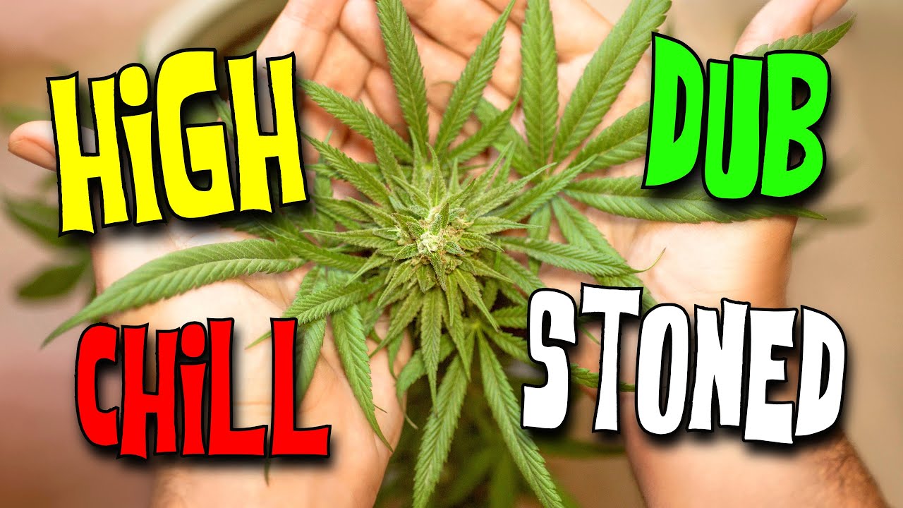 Weed Ganja High Stoned Mood Dub Playlist NonStop