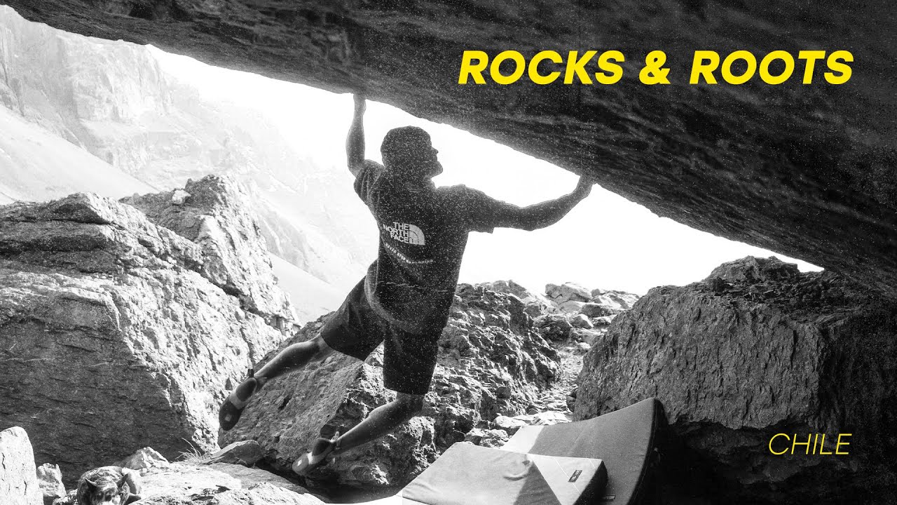 Chile: Rocks & Roots // Elias Arriagada K.