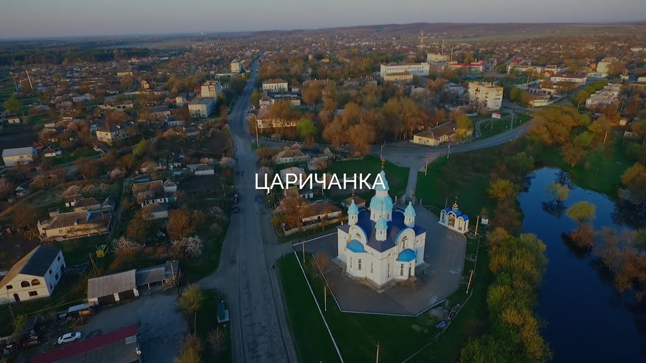 Царичанка прекрасна в будь-яку пору