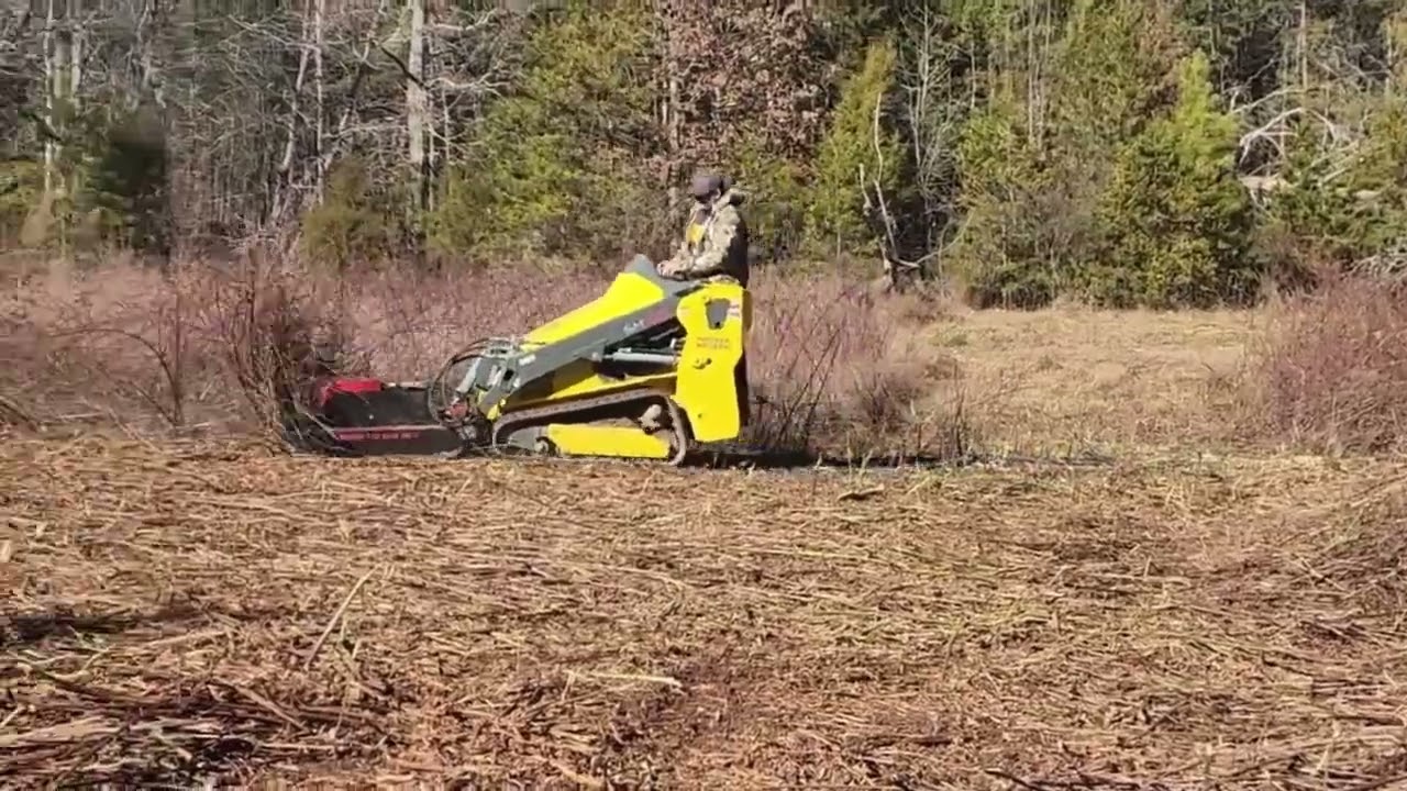 Predator Unleashed: Mini Brush Cutter in Action!