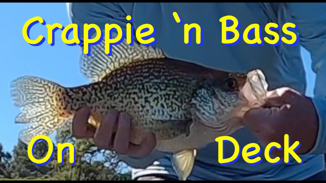 Crappie and Bass Action at Calero Ep02 March 19 2024