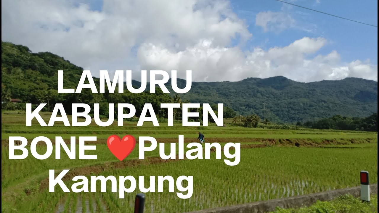 LAMURU KABUPATEN BONE 🏠PULKAM