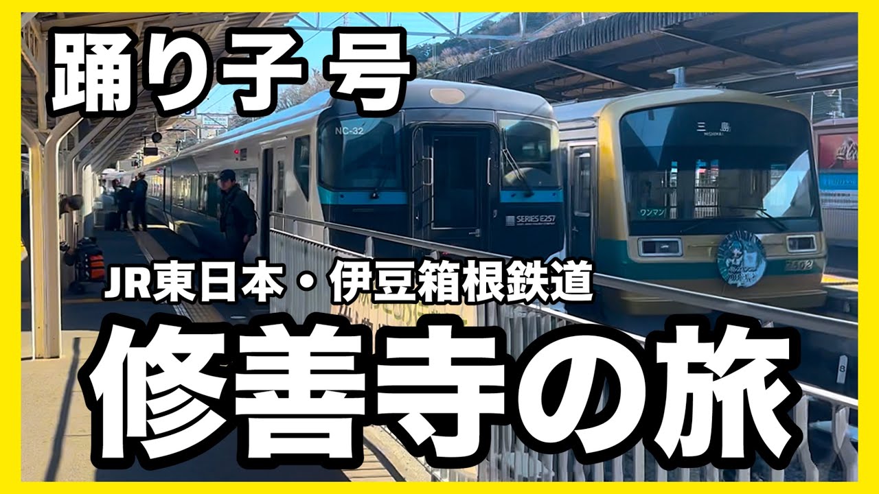 特急 踊り子の旅、修善寺へ #伊豆箱根鉄道 #JR東日本