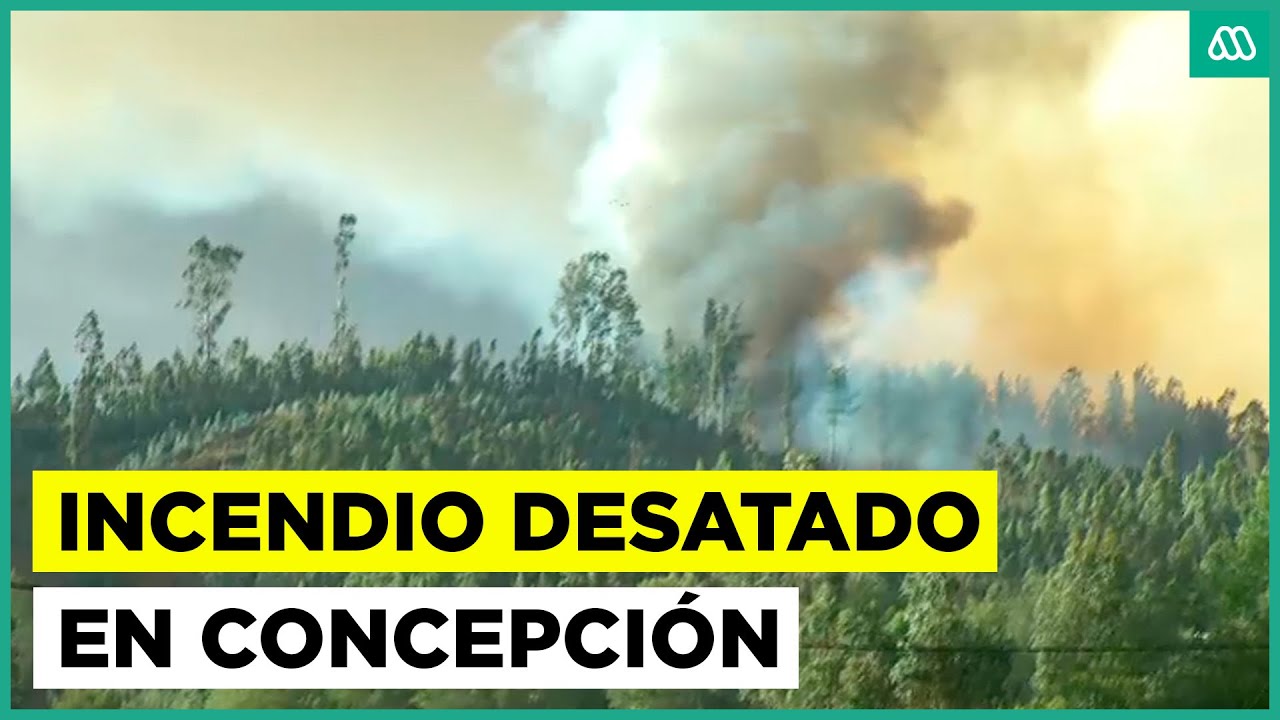 Voraz incendio en zonas de Concepción: Fuego ha consumido 300 hectáreas