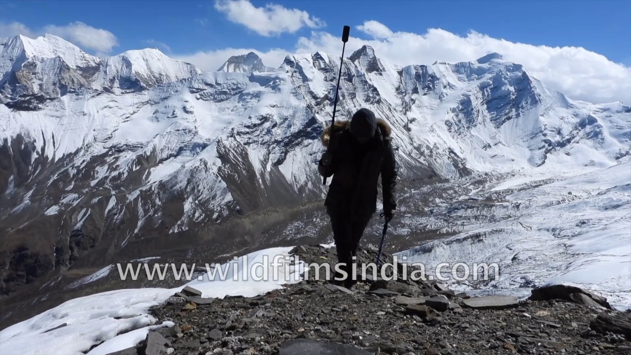 Climber approaches summit of Rudragaira, with deeply fissured glacier's crevasses open wide