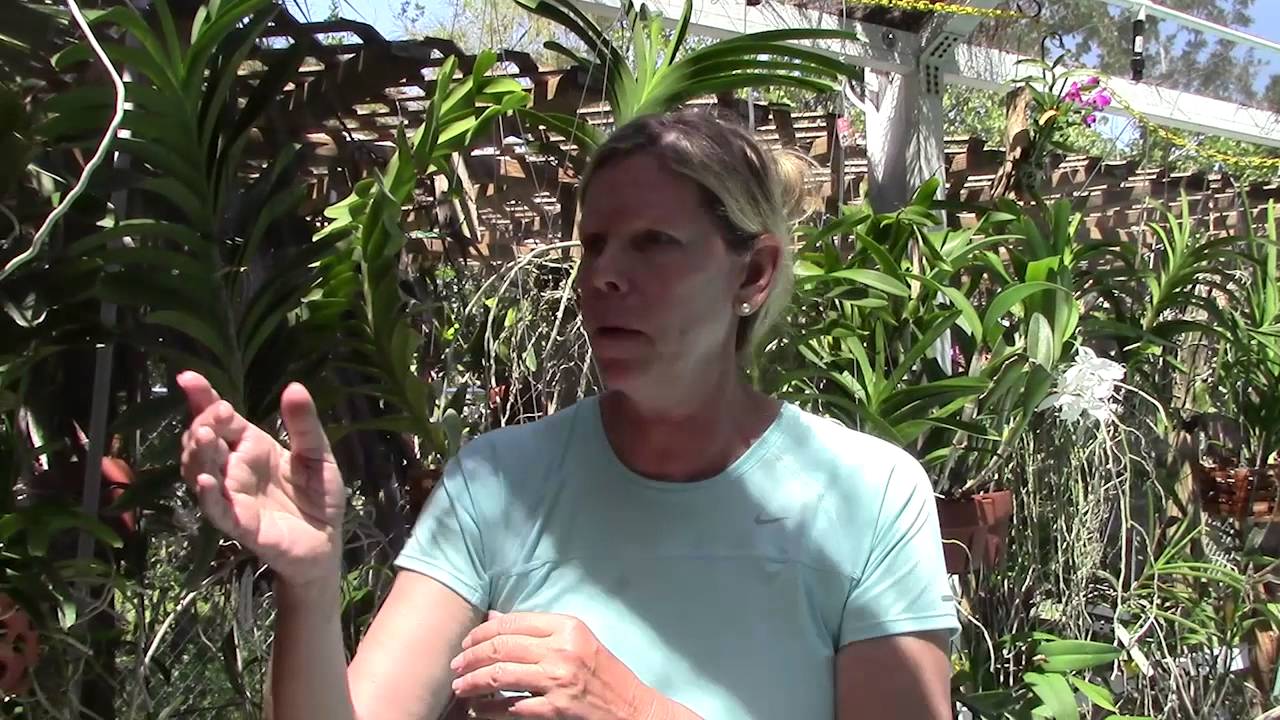 Vanda Orchid Tips with Barb & Gary Murza