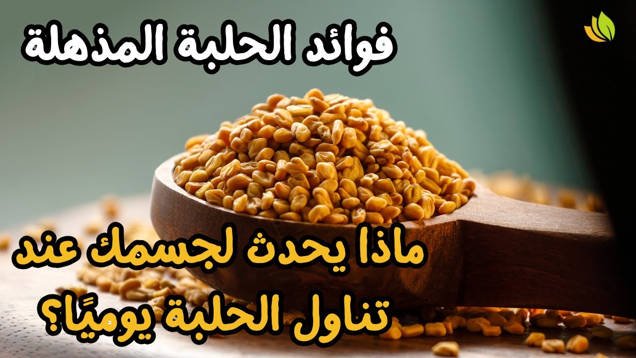 الحلبة كنز صحي لا يعرفه الكثيرون | ماذا يحدث لجسمك عند تناول الحلبة يوميًا؟