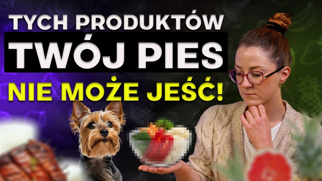 Co psy mogą jeść, a co im szkodzi? Warzywa, owoce i ludzkie jedzenie bez mitów