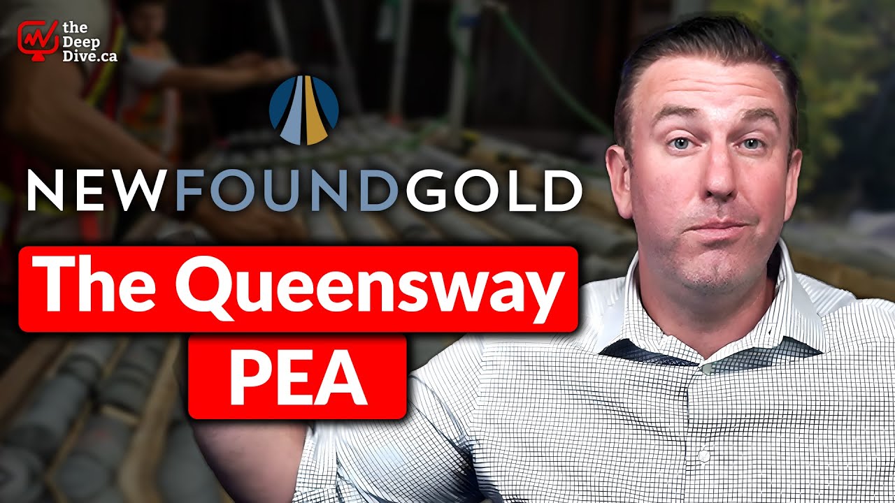New Found Gold PEA | Falls Short — High Costs and Gold Price Gamble
