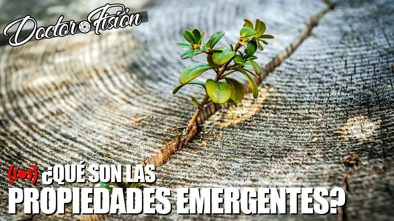 La VIDA y las PROPIEDADES EMERGENTES 🧬