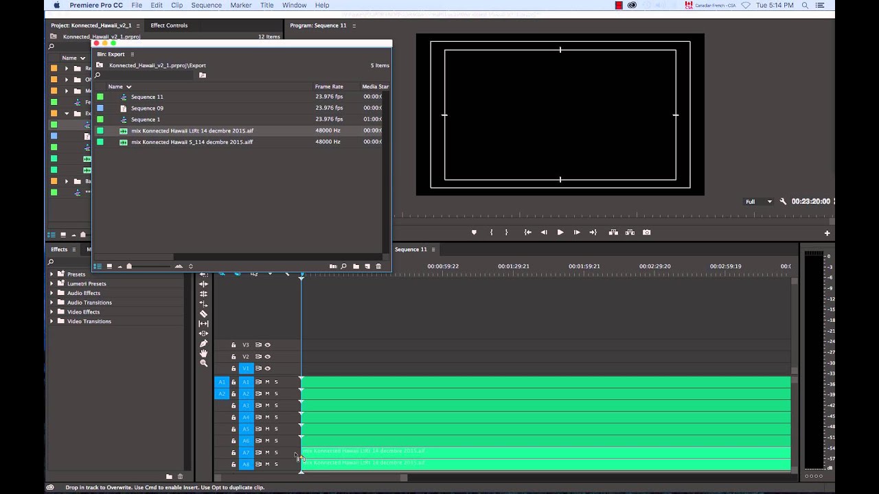 Exporting Multi-Channel Audio Quicktime from Adobe premiere CC