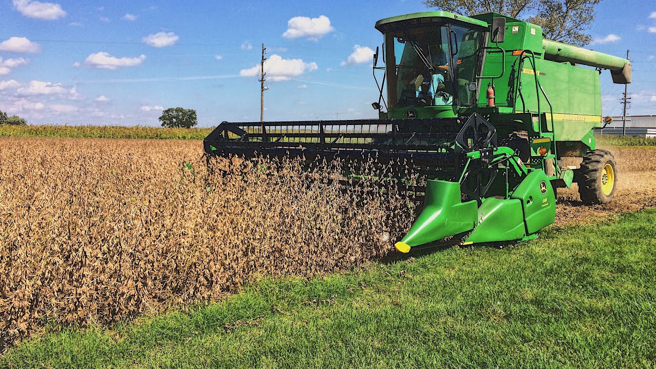 Cutting Soybeans in Town - Red Bud Illinois