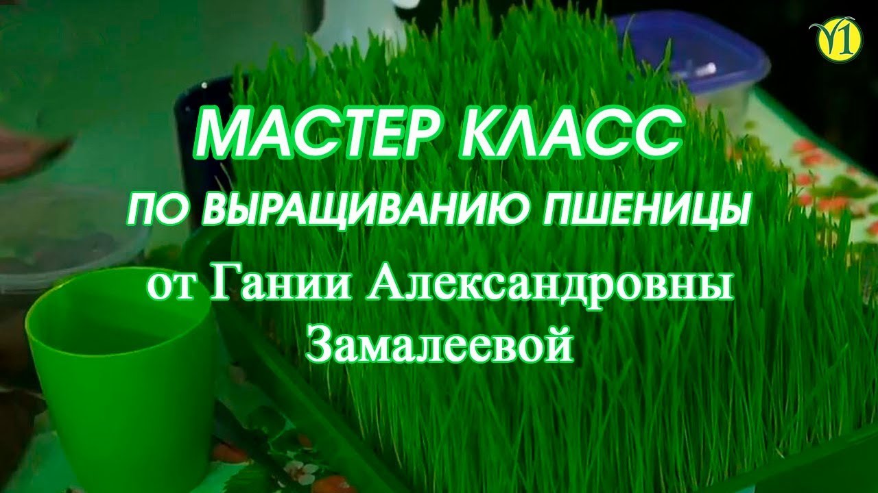 Гания Александровна Замалеева 