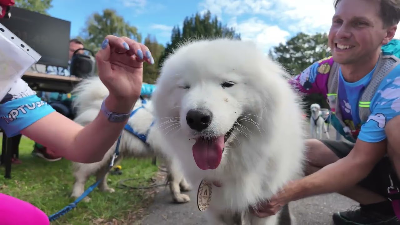 Wilczy Szlak - I Tarnog&oacute;rski Dogtrekking - Okiem Wilka 2025