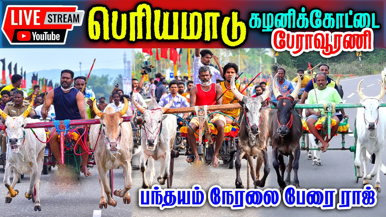 🛑LIVE கழனிக்கோட்டை பெரியமாடு நேரலை பந்தயம்
