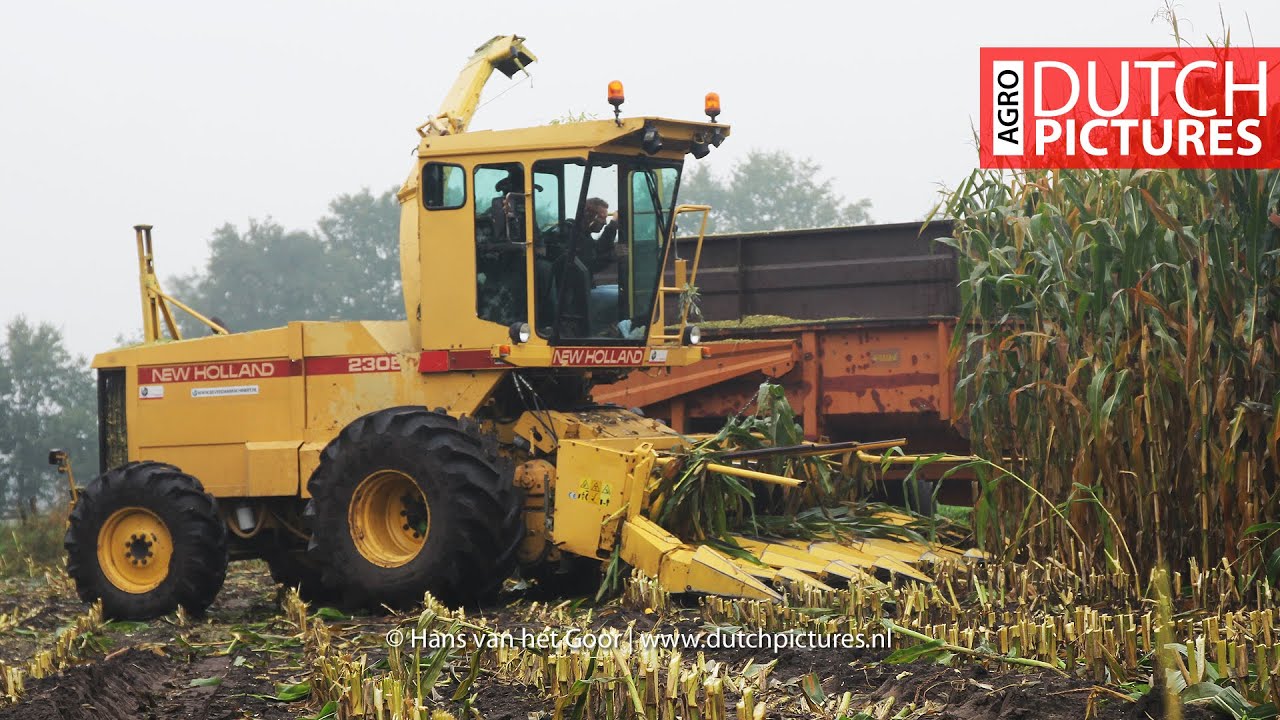 Chopping maize with a lovely New Holland 2305 vintage chopper |Mais hakselen|Corn|NL