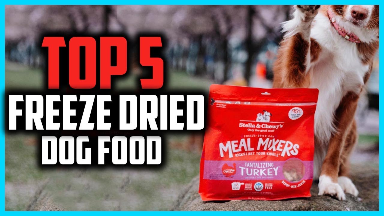 ✅Top 5 Best Freeze Dried Dog Food in 2025