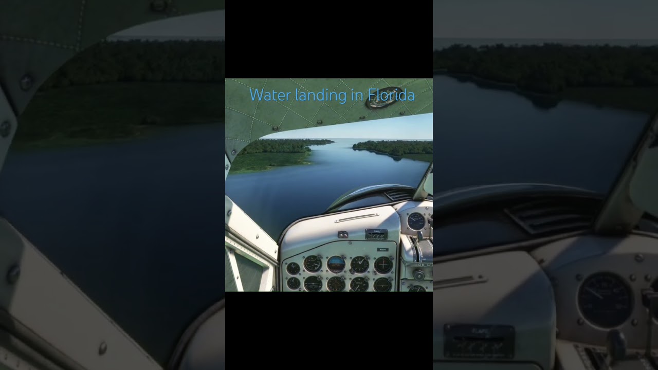 Landing a DHC2 beaver in Florida 