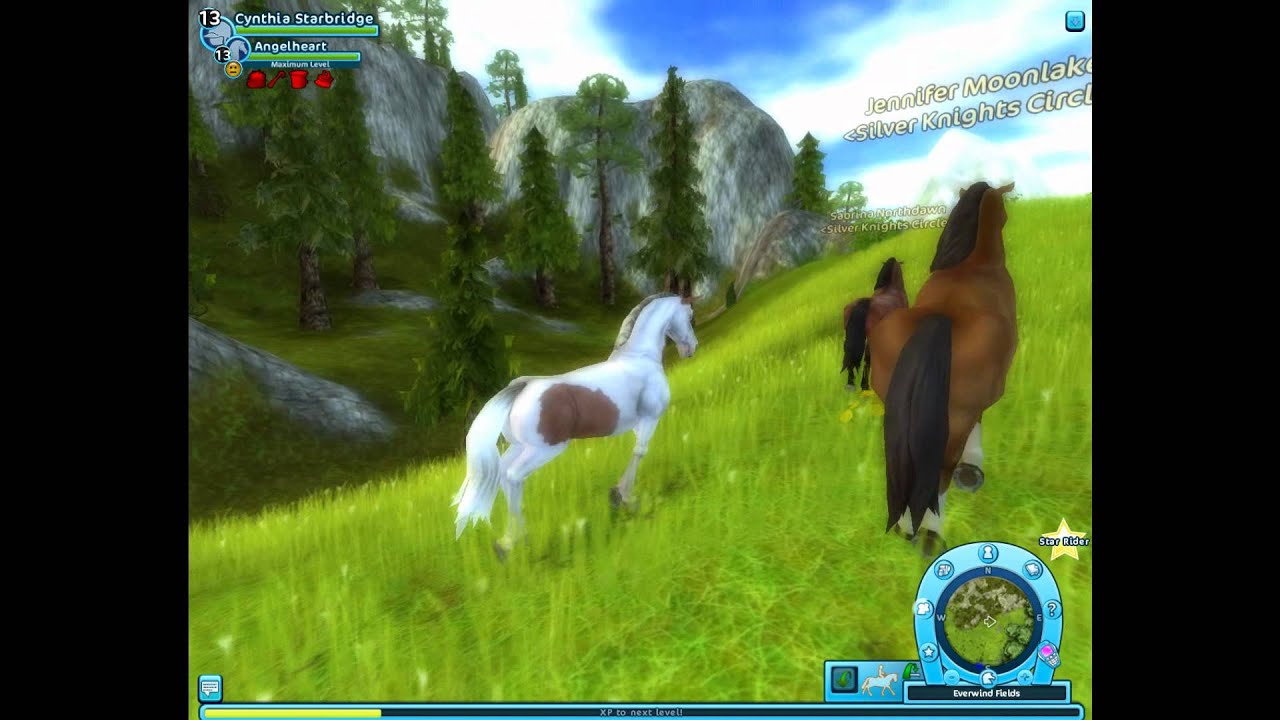 Wild Horses (part1)