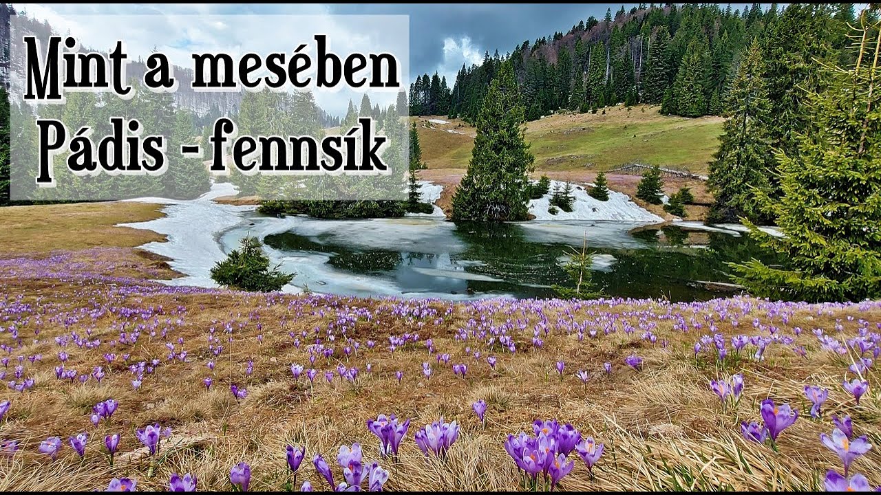 Ha friss levegőn csodálatos hegyi környezetben akarsz kirándulni, akkor irány tavasszal is Pádis!