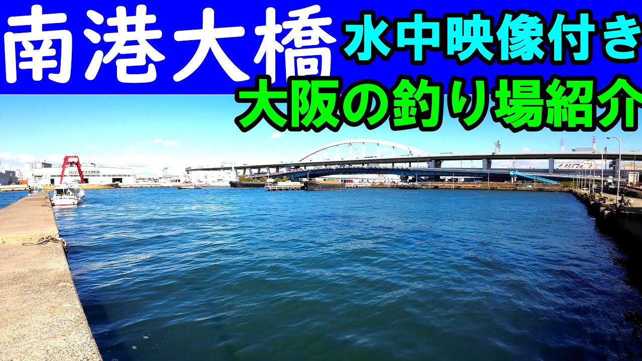 【大阪の釣り】南港大橋の釣りポイントを水中映像付きで紹介。魚影がエグイ！