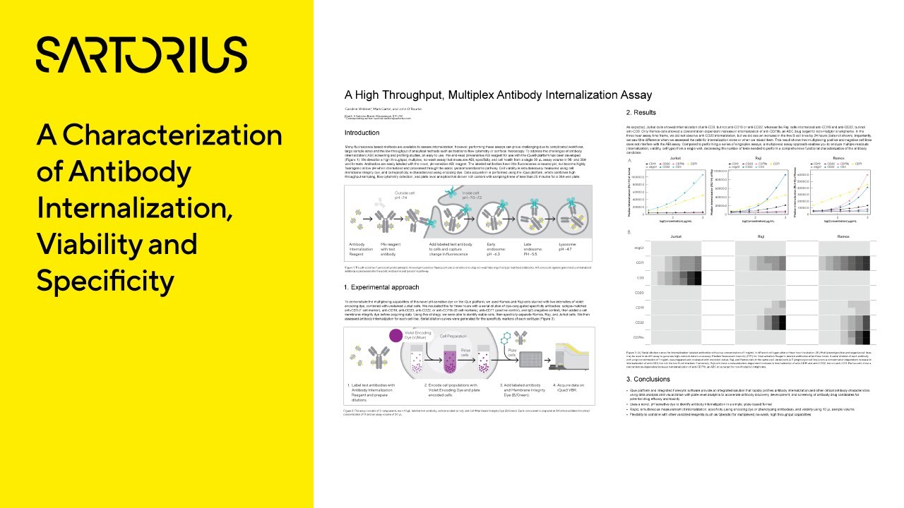 A High Throughput, Multiplex Antibody Internalization Assay
