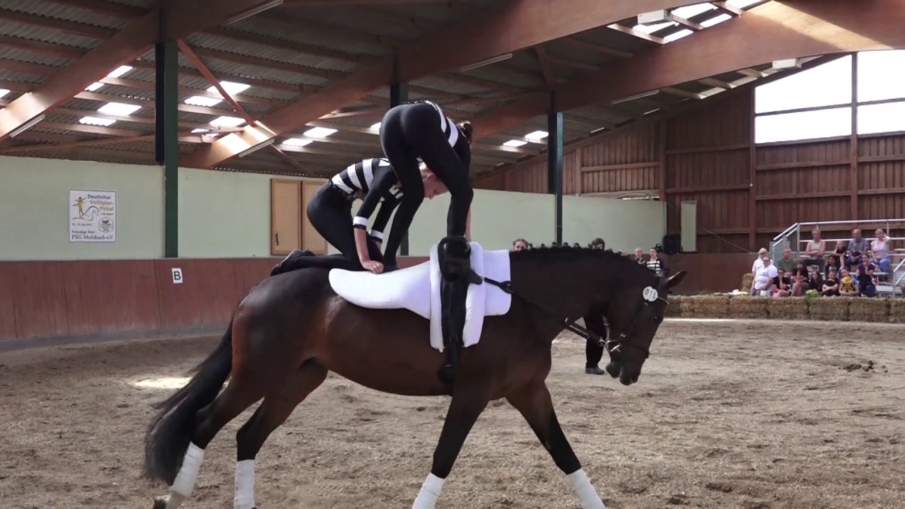 Deutscher Voltigierpokal der L-Gruppen 2017