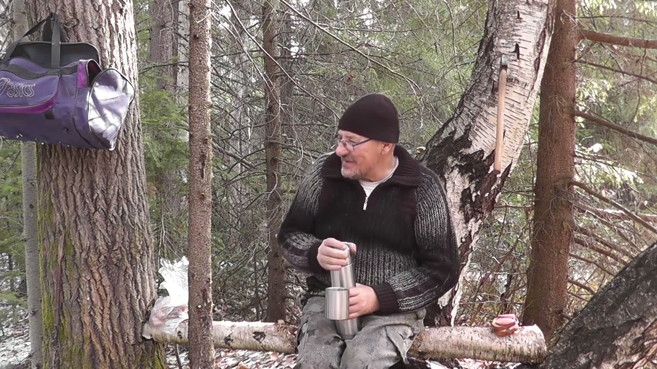 Выбрались с Ричардом за щуром  Красный еловик