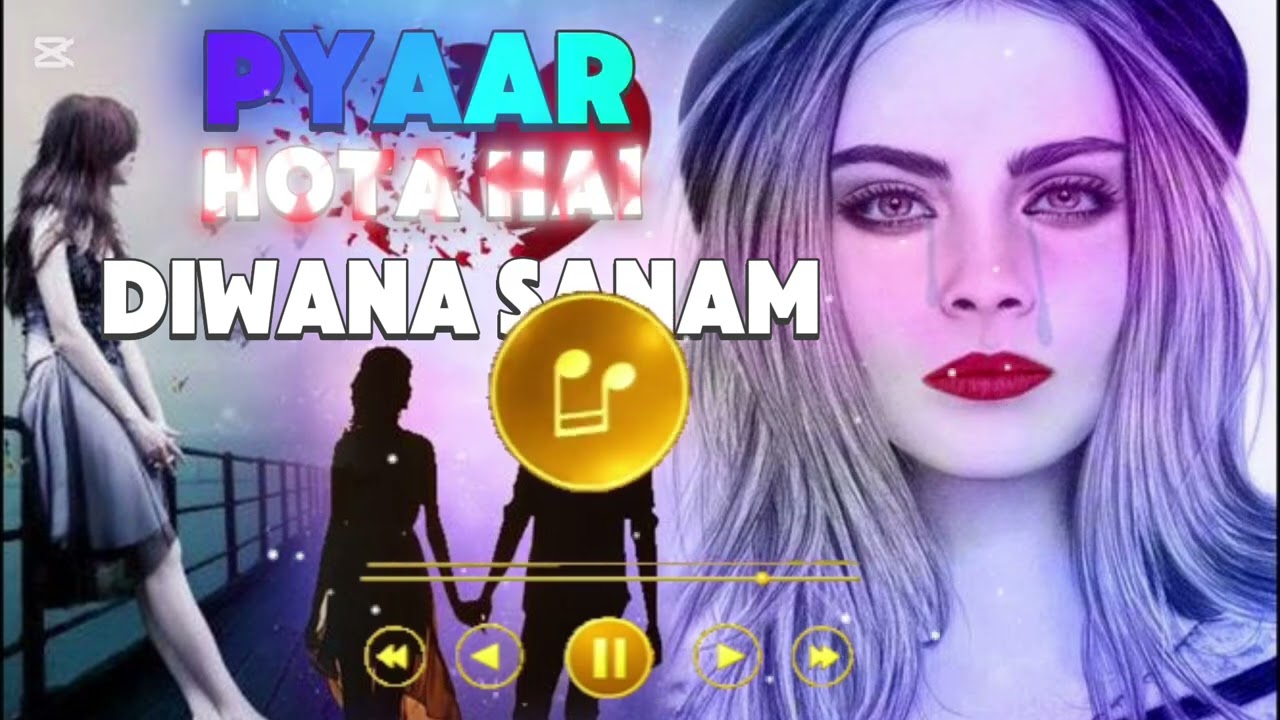 Pyaar hota hai diwana sanam 💕💕💕 Hindi romantic song 
