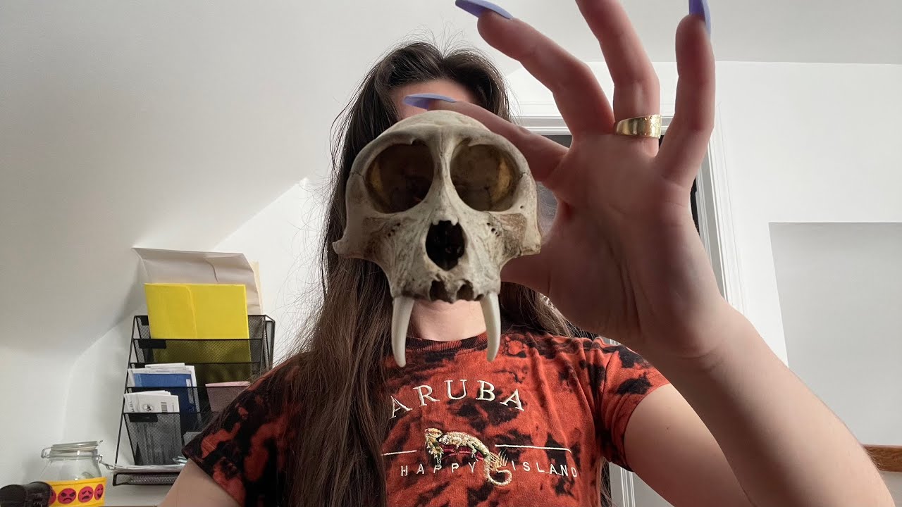 ASMR Bones, Feathers, & Specimens - creepy collection tapping