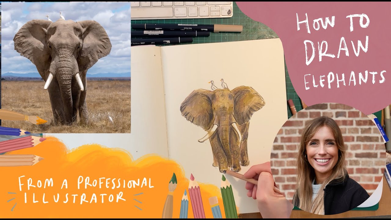 How to Draw Elephants - Step by Step!