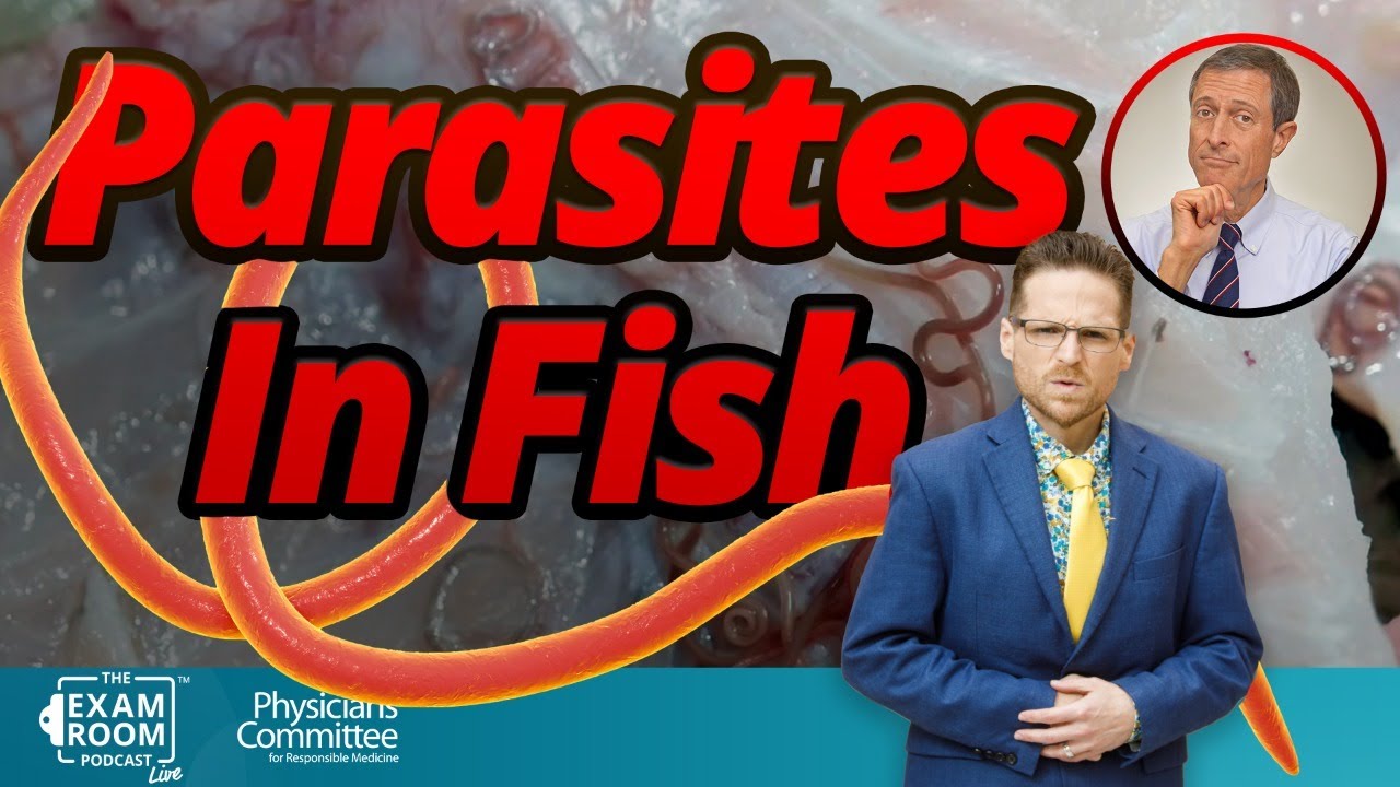 Nasty Parasites Infecting Fish and You&rsquo;re Eating Them | Dr. Neal Barnard - Exam Room LIVE