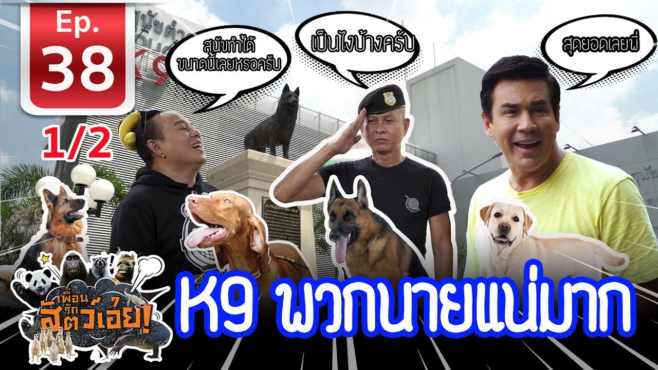 Police dog K9 สุนัขตำรวจนายแน่มาก - เพื่อนรักสัตว์​เอ๊ย​ EP.38 (1/2)