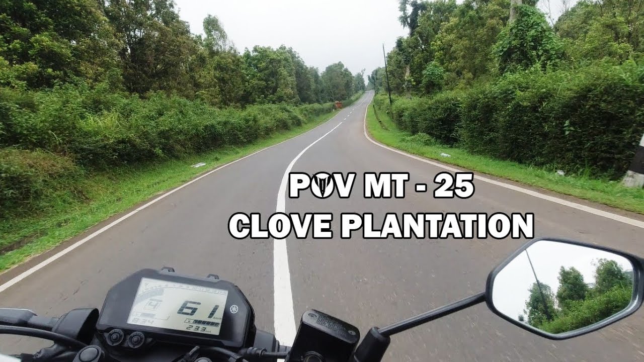 RIDING | POV YAMAHA MT25 ORIGINAL SOUND ENGINE AND MUFFLER