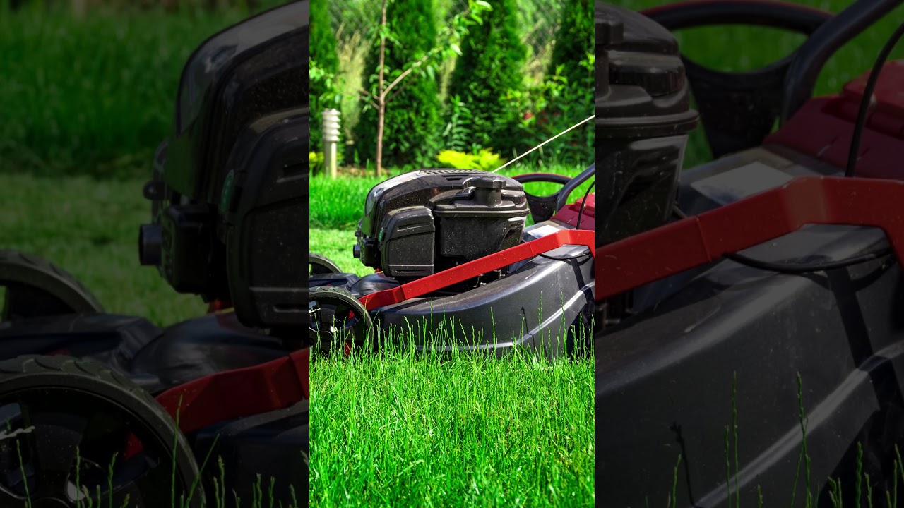 Does My Lawn Need Humic Acid?