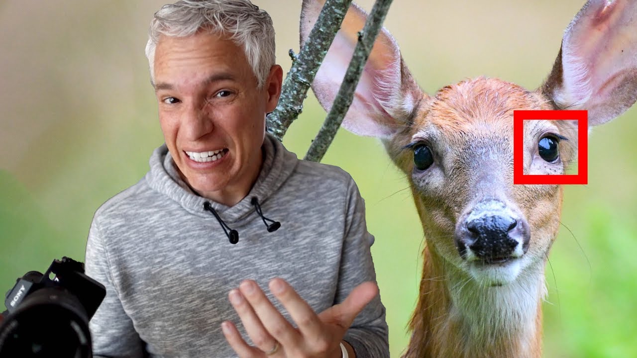 Animal Eye AF is here, but... (Sony a7 III/a7R III Firmware Update)