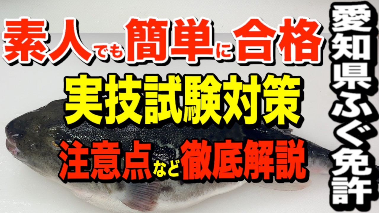 愛知県ふぐ処理師試験対策！実技のコツを捌きながら徹底解説