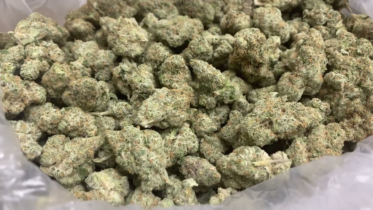 Wholesale THCa Flower: Jungle Driver