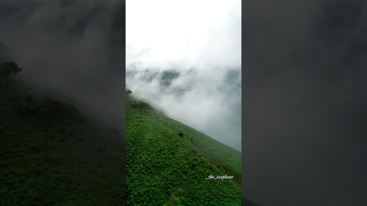 Beautiful places in Munnar #adventure #travel #explore #munnar #hikingadventures #hiking #trekking
