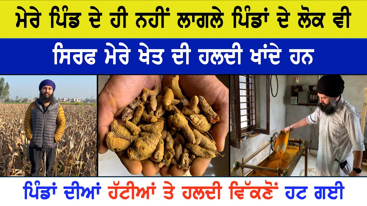 ਮੇਰੇ ਗਾਹਕ ਮੈਨੂੰ ਕਹਿੰਦੇ ਨੇ ਤੁਸੀਂ ਪੈਸੇ ਘੱਟ ਲੈਂਦੇ ਹੋ