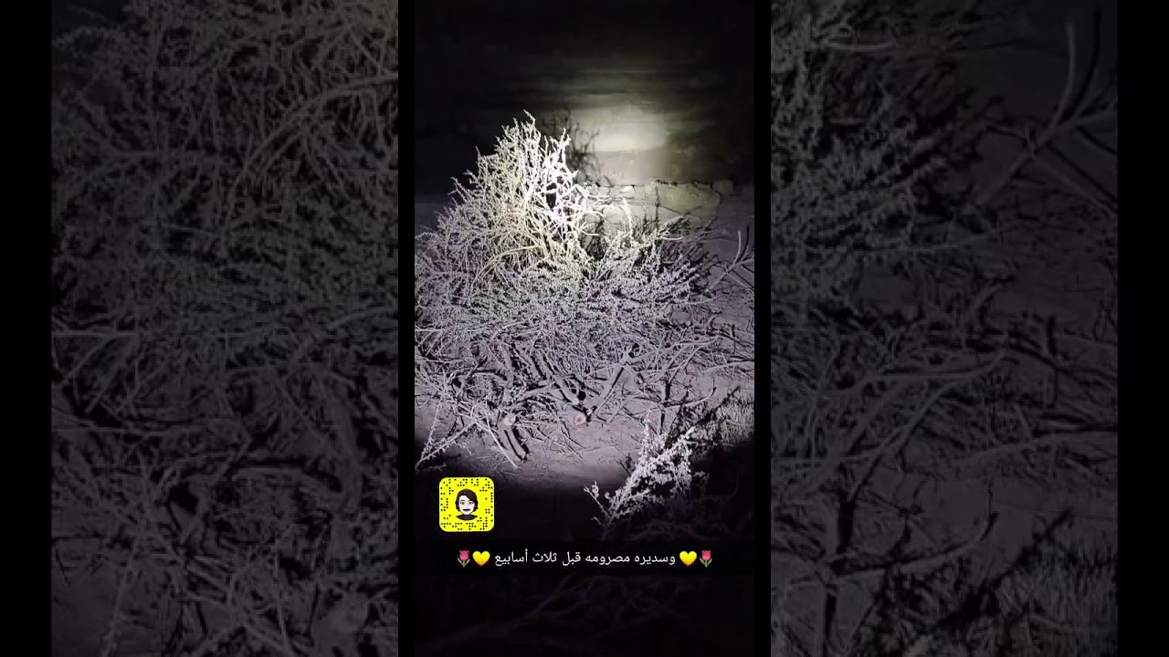 رسالة الى محافظ محافظة السليل ومدير فرع الزراعه والى من يهمه الأمر ✋🏻