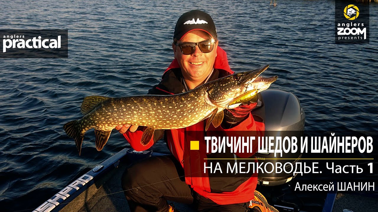 Твичинг шедов и шайнеров на мелководье. Алексей Шанин. Часть 1. Anglers Practical