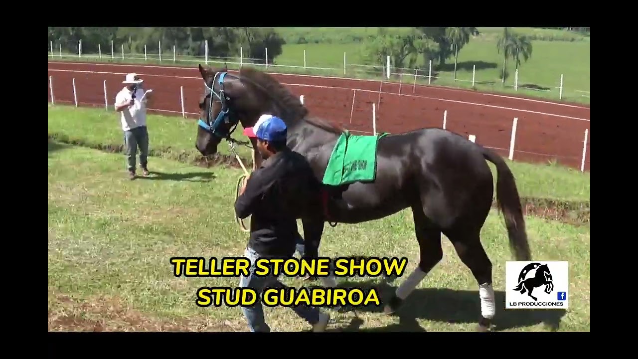 GRAY LAKE 4&deg;CLASIFICACI&Oacute;N POLLA DE POTRILLOS TORNEO INICIO H&Iacute;PICO DON NIC&Eacute;FORO 2-4-22